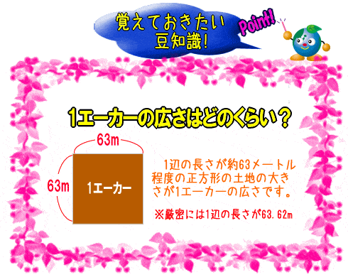 1エーカーの広さ 面積 坪への換算方法 土地の単位